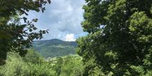 Aedermannsdorf 12:55