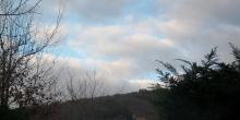 Thann(Haut-Rhin)343m