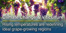 Climate Change, the Huglin Index, and the Future of Wine