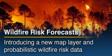 Wildfire Risk Forecasts: New from meteoblue